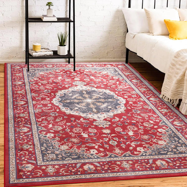 Machine Washable Vintage Area Rugs for Living Room with Non-Slip Rubber Backing