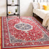 Machine Washable Vintage Area Rugs for Living Room with Non-Slip Rubber Backing