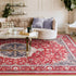 Machine Washable Vintage Area Rugs for Living Room with Non-Slip Rubber Backing