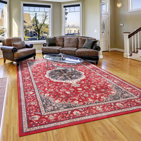 Machine Washable Vintage Area Rugs for Living Room with Non-Slip Rubber Backing