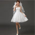 Ivory Short Knee Length Fairy Wedding Dress for Parties