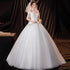 Wedding Dresses Illusion V-Neck Backless Tulle Lace Gown