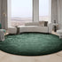 Luxury Nordic Bedroom Decor Plush Round Area Rug Washable Non Slip Mat Minimalist Carpet for Living Room