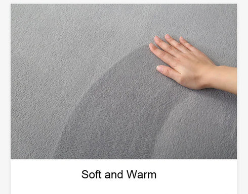 Luxury Coral Fleece Carpet for Living Room Thick Warm Area Rugs Non Slip Home Decor
