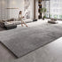 Modern Style Plush Carpet Large Area Rug Thick Washable Lounge Floor Mat Fluffy Soft Home Decor
