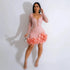 Long Sleeve V Neck Transparent Club Dress with Diamonds