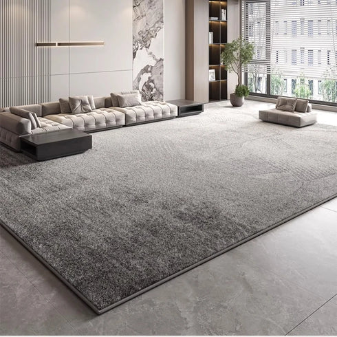 Modern Style Plush Carpet Large Area Rug Thick Washable Lounge Floor Mat Fluffy Soft Home Decor
