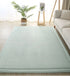 Luxury Coral Fleece Carpet for Living Room Thick Warm Area Rugs Non Slip Home Decor