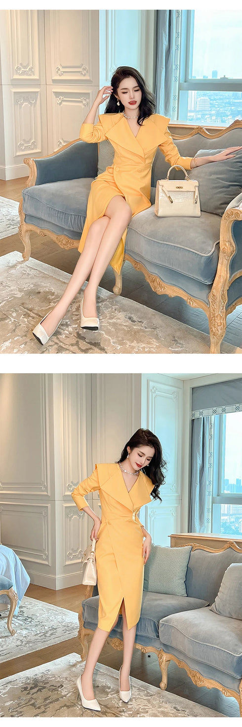 Chic Work Style Business Formal Dresses For Women Clothing