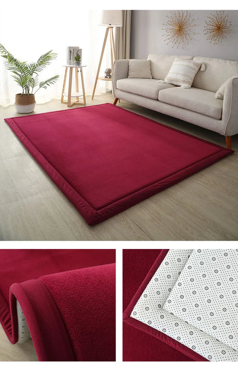 Luxury Coral Fleece Carpet for Living Room Thick Warm Area Rugs Non Slip Home Decor