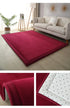 Luxury Coral Fleece Carpet for Living Room Thick Warm Area Rugs Non Slip Home Decor