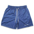 Striped Pattern Casual Shorts for Men's Fitness and Basketball