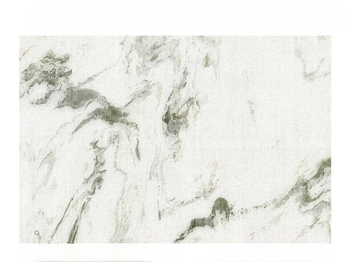 Large Area Carpets for Living Room Soft Floor Mat Washable Anti-slip Cloakroom Rug