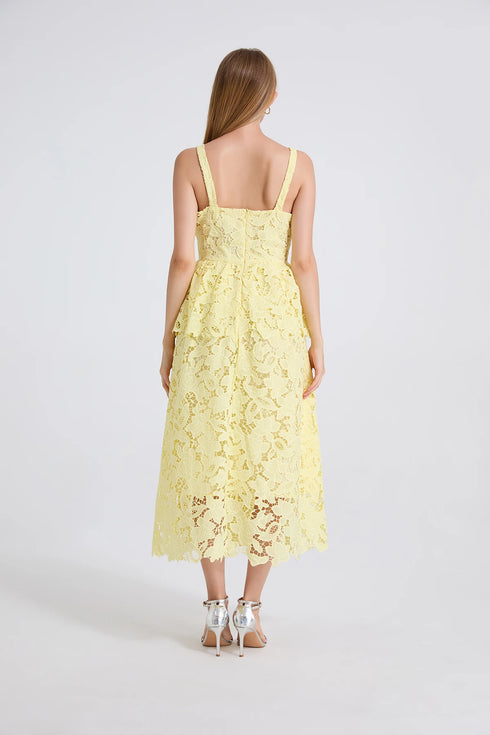 Embroidery Lace Long Cake Dress for Women Evening and Birthday Parties