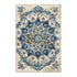 Floral Persian Area Rug Modern Classic Carpet for Living Room and Bedroom Decor