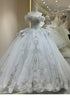 Exquisite Off Shoulder Wedding Dress with Beading and Lace Embellishments for Elegant Bridal Dress
