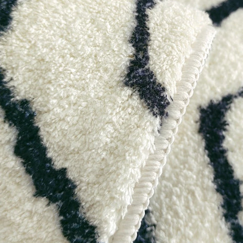 Large Area Carpets for Living Room Soft Floor Mat Washable Anti-slip Cloakroom Rug