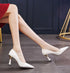 Pumps High Heels Sexy Shoes for Women Stylish Pointed Toe