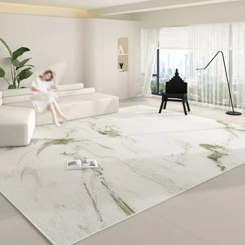 Large Area Carpets for Living Room Soft Floor Mat Washable Anti-slip Cloakroom Rug