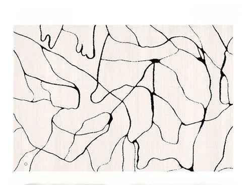 Large Area Carpets for Living Room Soft Floor Mat Washable Anti-slip Cloakroom Rug