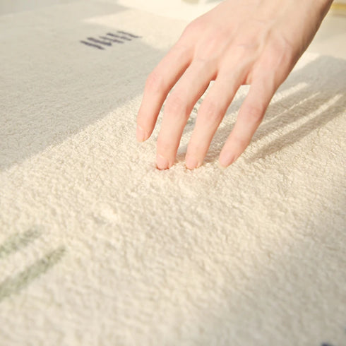 Large Area Carpets for Living Room Fluffy Soft Lounge Floor Mat Thick Anti-slip Study Rug Plush Decor Carpet