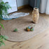 Woven Rattan Round Carpet Natural Straw Rug for Living Room Bedroom Floor Mat