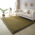 Luxury Coral Fleece Carpet for Living Room Thick Warm Area Rugs Non Slip Home Decor
