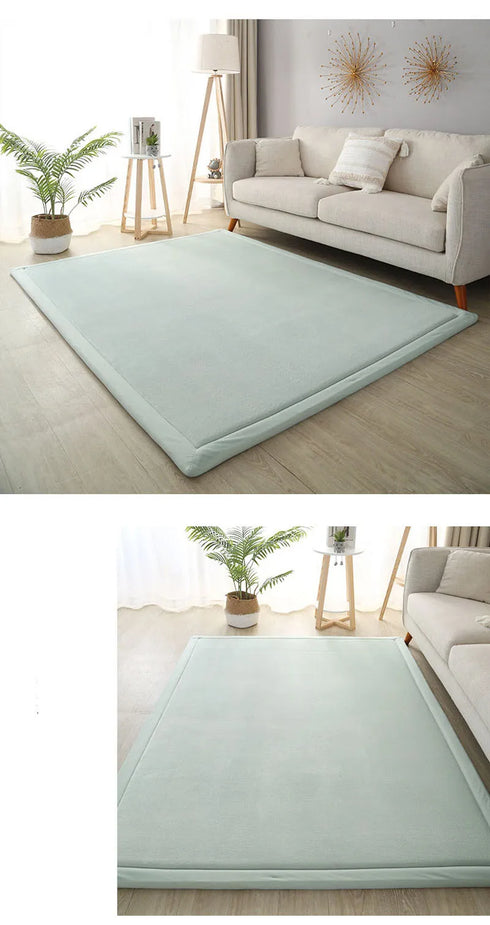 Luxury Coral Fleece Carpet for Living Room Thick Warm Area Rugs Non Slip Home Decor