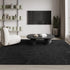 Modern Minimalist Large Area Rug for Living Room and Bedroom Decor