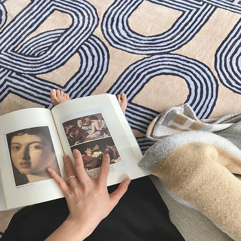 French Style Plush Carpet for Living Room and Bedroom Minimalist Fluffy Rug