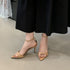 Pointed Toe Ankle Strap Gladiator Heels For Women Sandal
