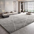 Modern Style Plush Carpet Large Area Rug Thick Washable Lounge Floor Mat Fluffy Soft Home Decor