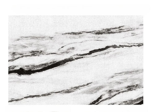 Large Area Carpets for Living Room Soft Floor Mat Washable Anti-slip Cloakroom Rug