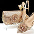 Elegant Women's Pumps and Handbag Set with Sequins for Luxury Parties