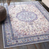 Machine Washable Vintage Area Rugs for Living Room with Non-Slip Rubber Backing