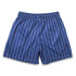 Striped Pattern Casual Shorts for Men's Fitness and Basketball
