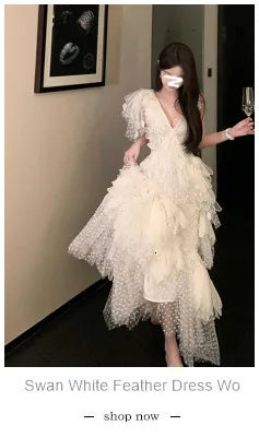 Embroidery Lace Long Cake Dress for Women Evening and Birthday Parties