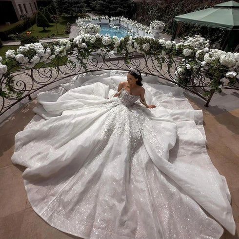 Luxury Wedding Dresses For Elegant Women Sleeveless Appliques Royal Train Ball Gowns