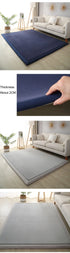 Luxury Coral Fleece Carpet for Living Room Thick Warm Area Rugs Non Slip Home Decor
