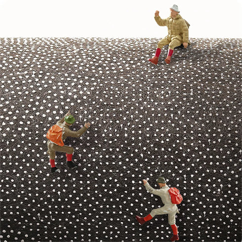 Light Luxury Area Rugs for Bedroom and Living Room Plush Soft Floor Mat