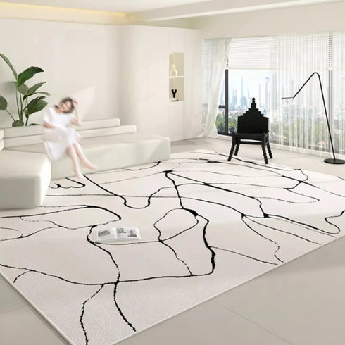 Large Area Carpets for Living Room Soft Floor Mat Washable Anti-slip Cloakroom Rug