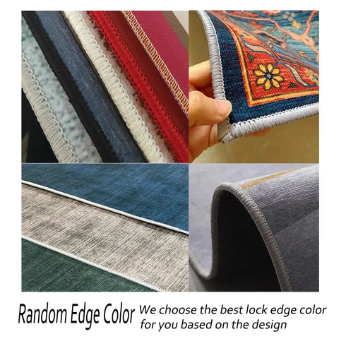Luxury Area Rug for Living Room and Bedroom Classic Style Non-Slip Carpet