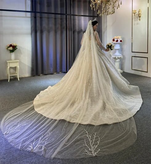 Customized Luxury Wedding Dresses For Formal Party Lace Appliques