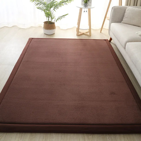 Luxury Coral Fleece Carpet for Living Room Thick Warm Area Rugs Non Slip Home Decor