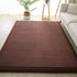 Luxury Coral Fleece Carpet for Living Room Thick Warm Area Rugs Non Slip Home Decor