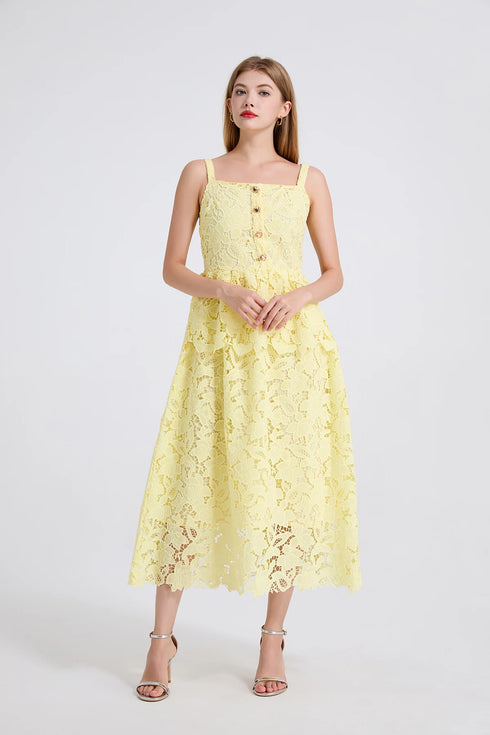 Embroidery Lace Long Cake Dress for Women Evening and Birthday Parties