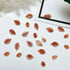 50pcs 3D Kawaii Colorful Leaf Nail Art Charms - Mixed Resin Nail Decorations and Acrylic Rhinestones for DIY Manicure Accessories and Press-On Nails