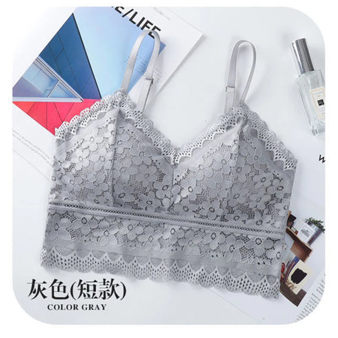 44092028223686|44092028256454