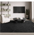 Modern Minimalist Large Area Rug for Living Room and Bedroom Decor