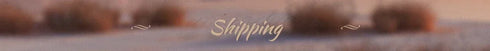 Mermaid Wedding Dress Lace Embroidery Strapless Neckline With Long Sleeves Elegant Bride